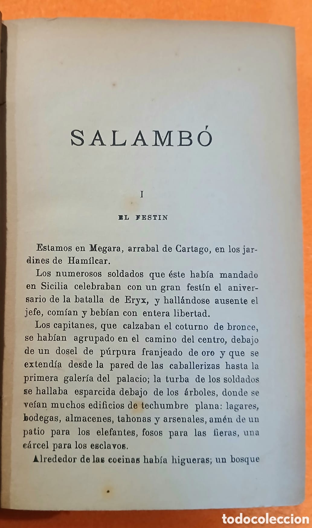 Libros: Salamb&oacute;, Gustavo Flaubert - Foto 6