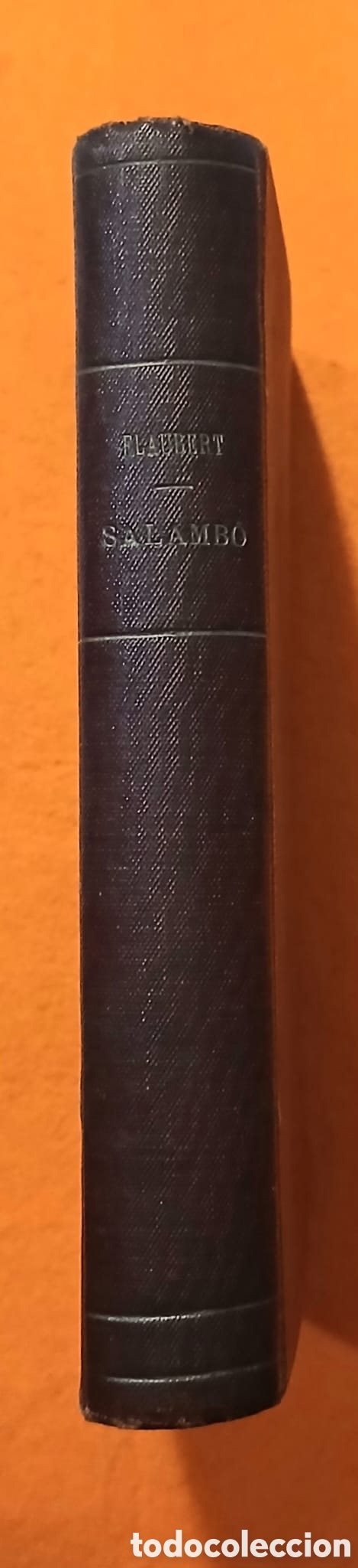 books: Salamb&oacute;, Gustavo Flaubert