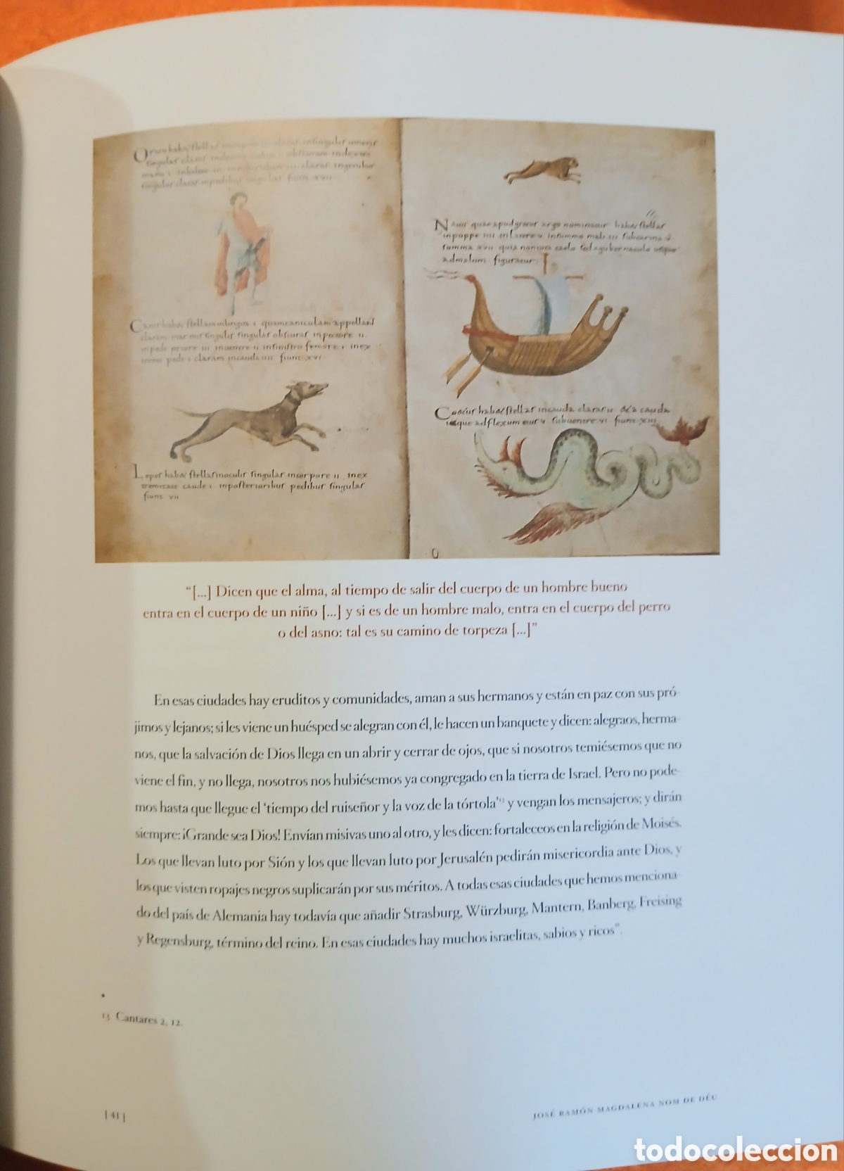 Libros: El viaje de Benjamin de Tudela - Foto 5