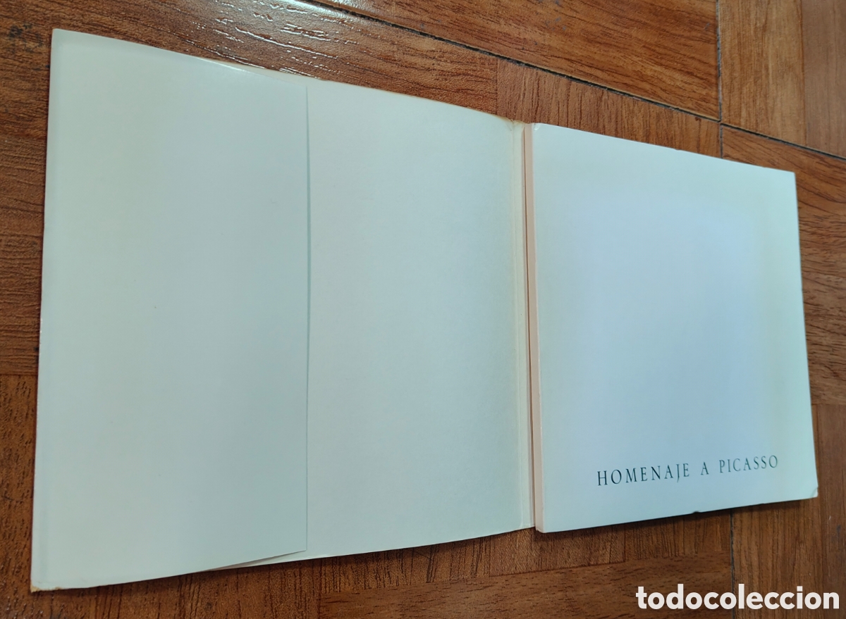Libros: Homenajea Picasso - Ram&oacute;n Gaya - Foto 3