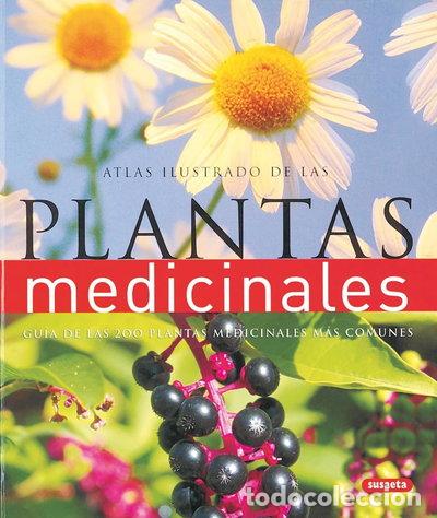B&uuml;cher: Atlas ilustrado de las plantas medicinales- 9788430563708