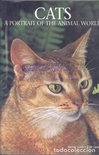 Libros: Cats (9781880908181)