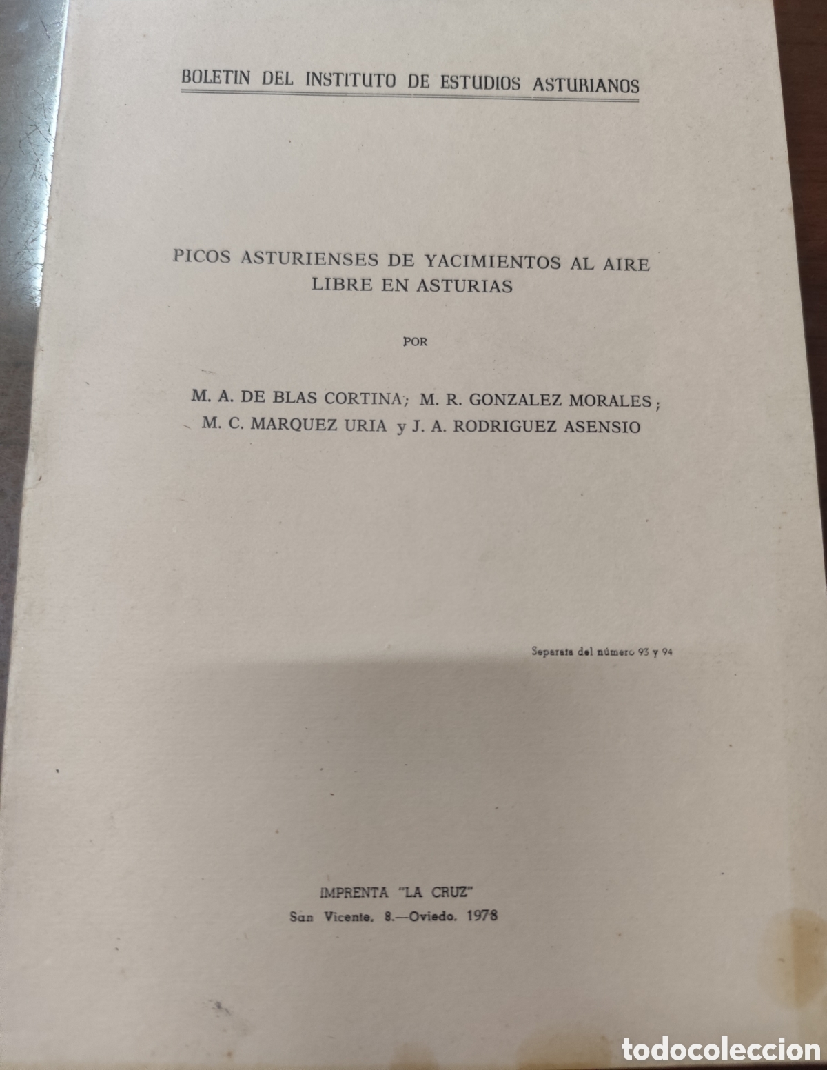 Libros: PICOS ASTURIENSES DE YACIMIENTOS AL AIRE LIBRE EN ASTURIAS. Bolet&iacute;n del Instituto de Estudios Asturi