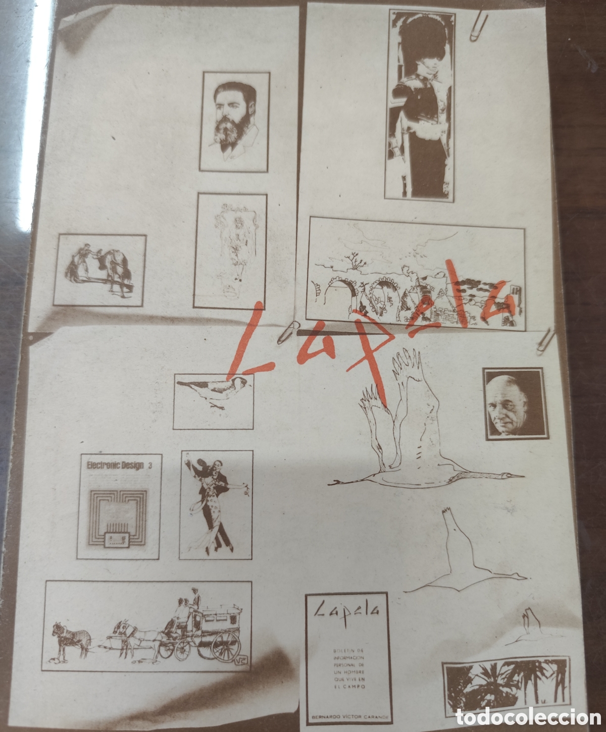 Libros: CAPELA N&ordm; 1,2,3 y 4. Los 4 n&uacute;meros. Bolet&iacute;n de informaci&oacute;n personal de un hombre que vive en el cam