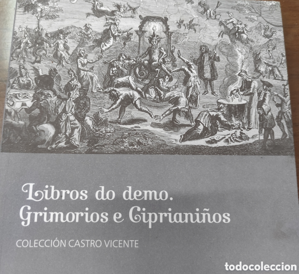 Libros: LIBROS DO DEMO Grimorios e Cipriani&ntilde;os. Colecci&oacute;n Castro Vicente. Galicia