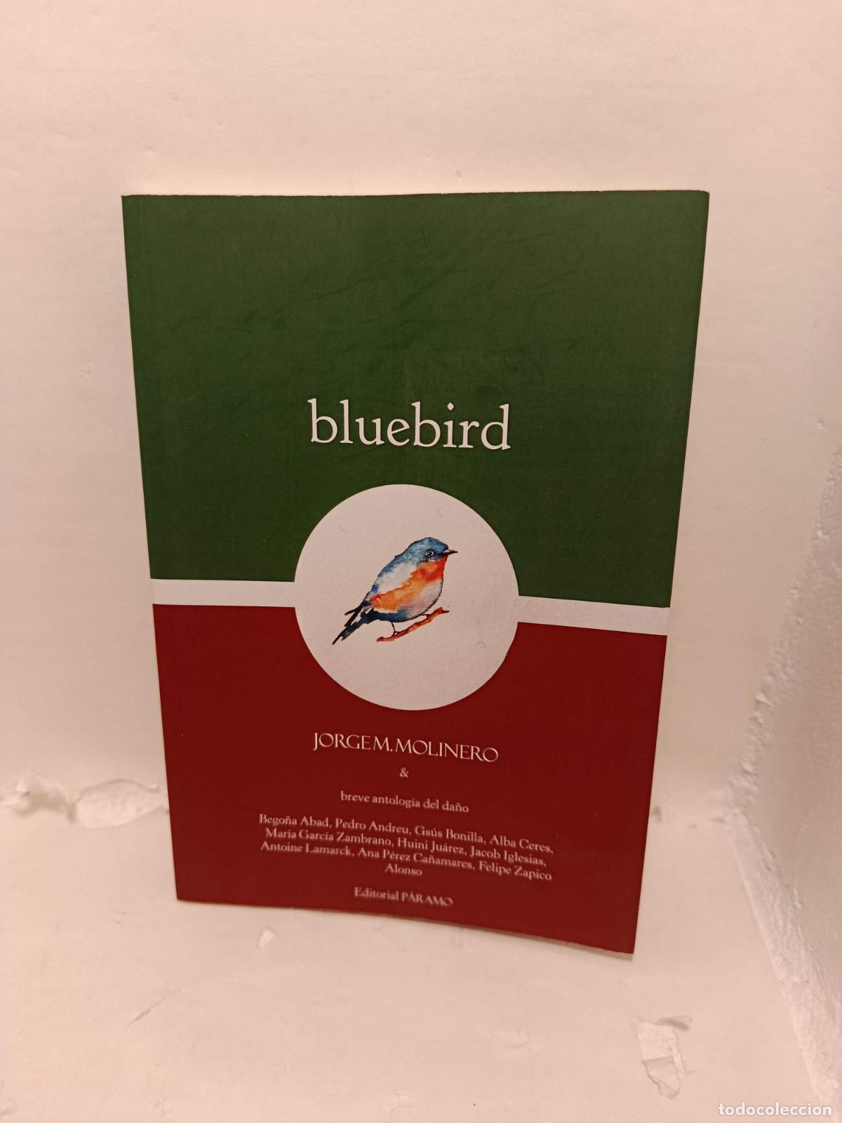 Libri di seconda mano: BLUEBIRD - ; Jorge Merino Molinero