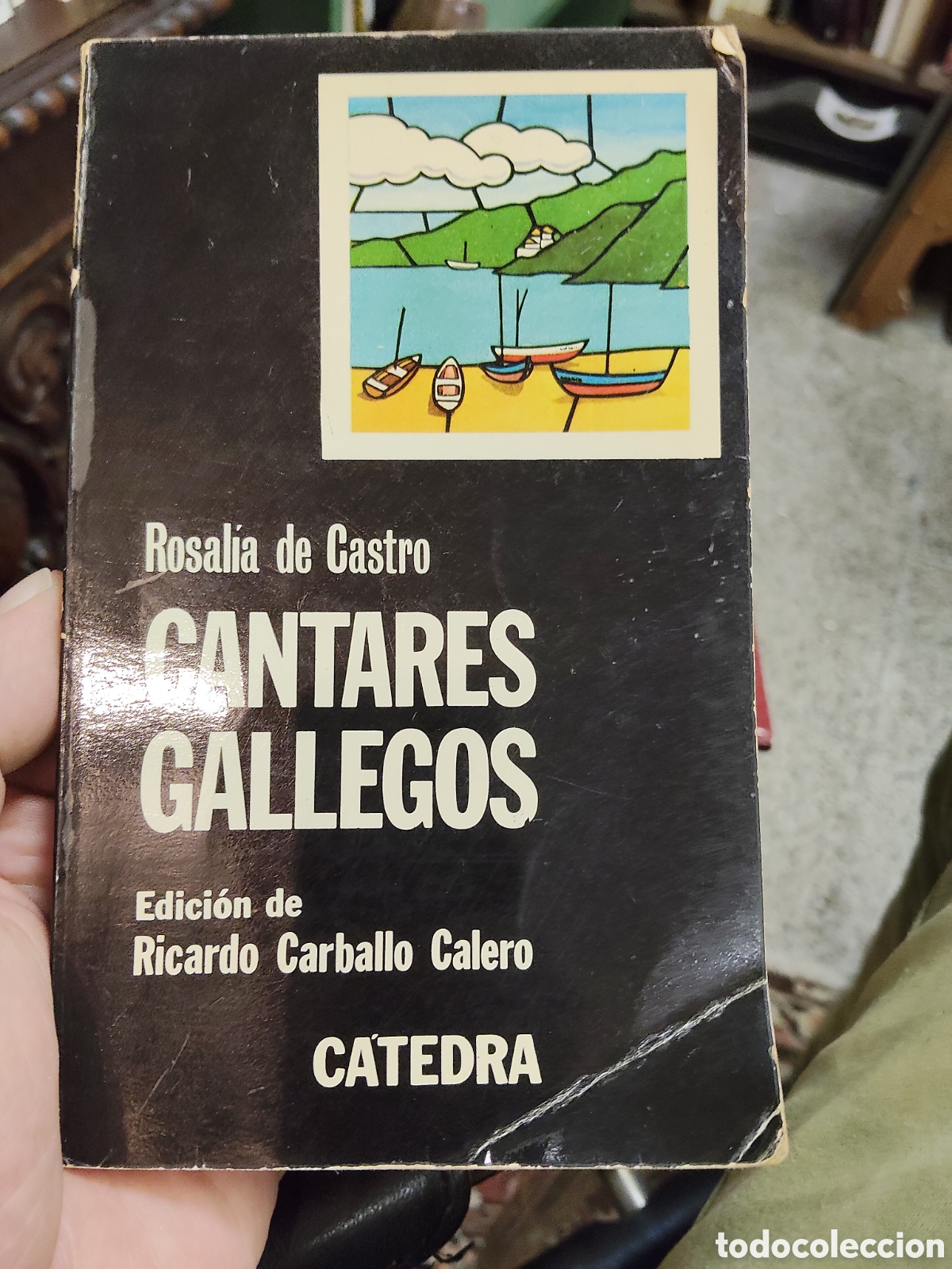 Libros: Cantares Gallegos Rosal&iacute;a de Castro - Foto 1
