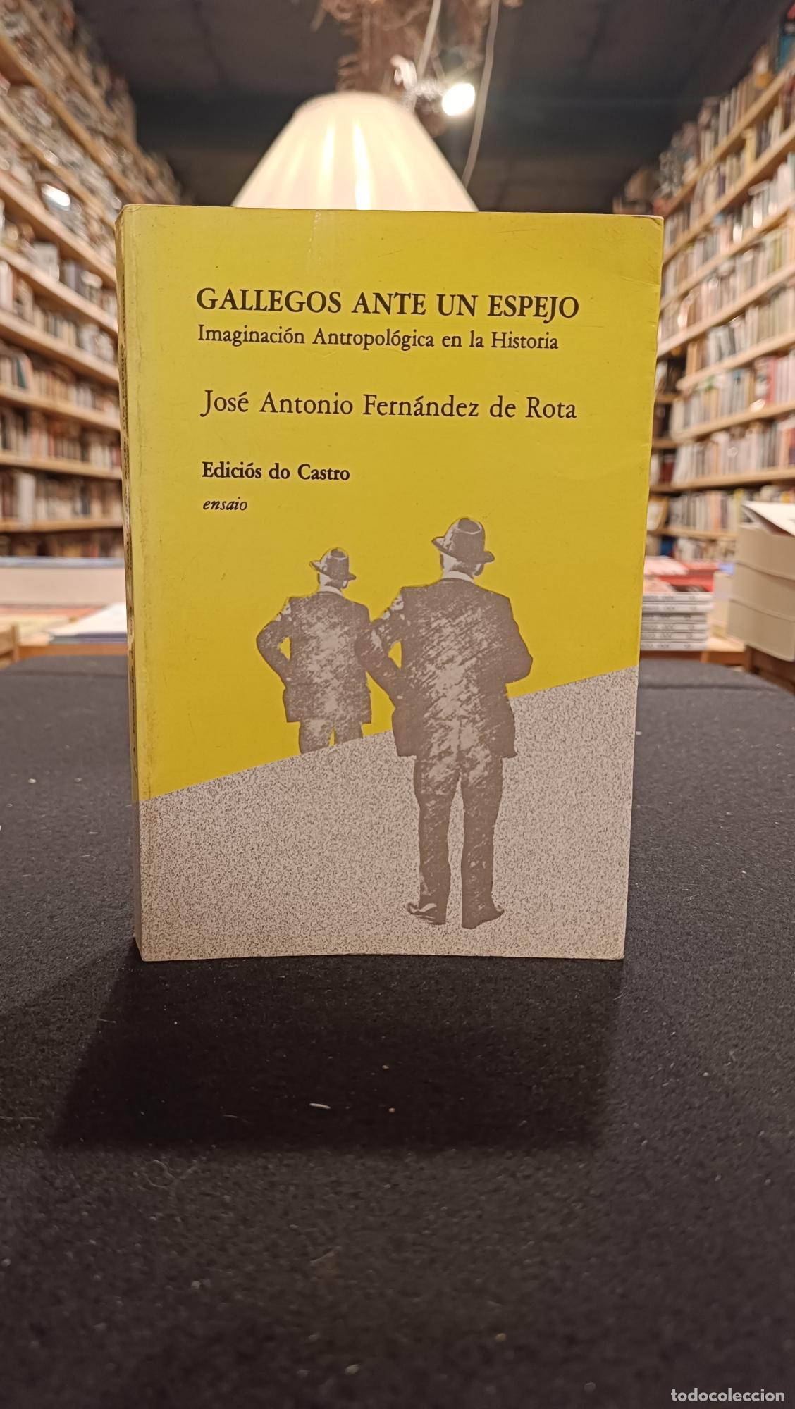 books: Gallegos ante un espejo - Jos&eacute; Antonio Fernandez de Rota