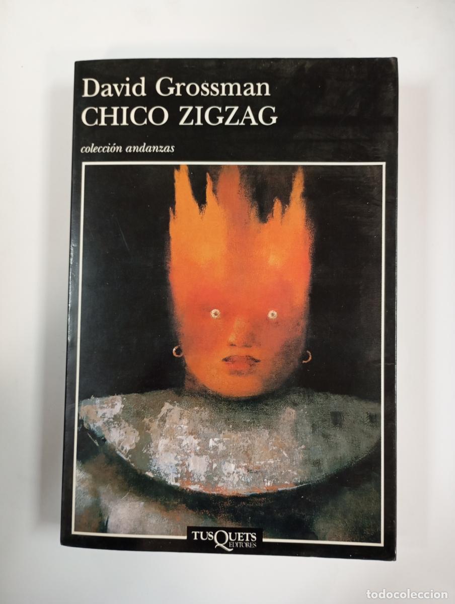 B&uuml;cher: Chico zigzag. Colecci&oacute;n Andanzas Tusquets 349. - David Grossman. TDK876