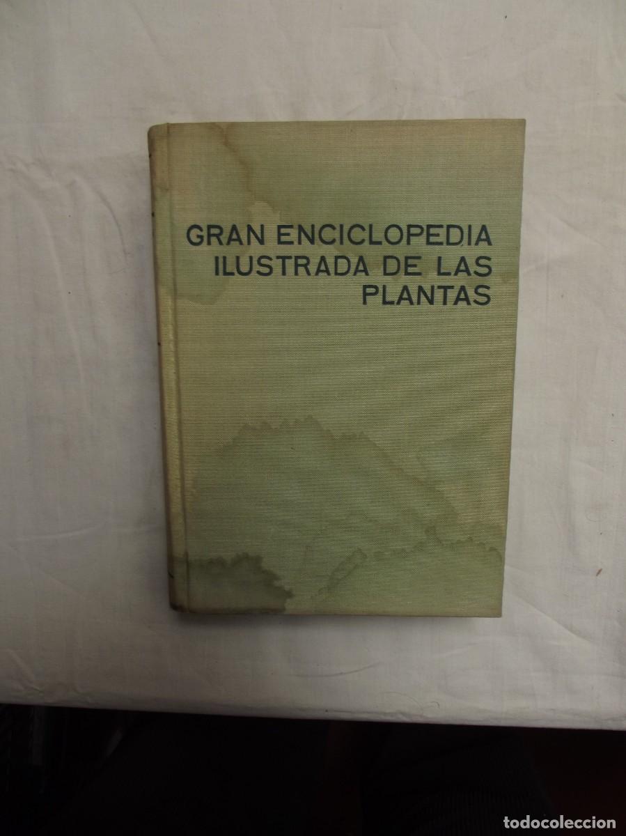 Libros: GRAN ENCICLOPEDIA ILUSTRADA DE LAS PLANTAS