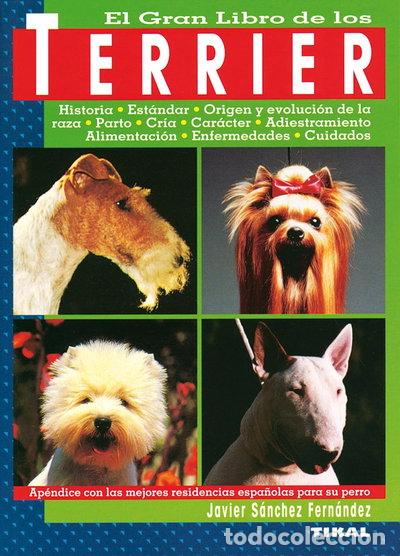 Libri di seconda mano: Terrier- 9788430584260