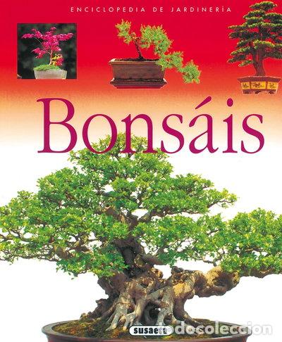 Livros em segunda m&atilde;o: Bons&aacute;is- 9788430567652