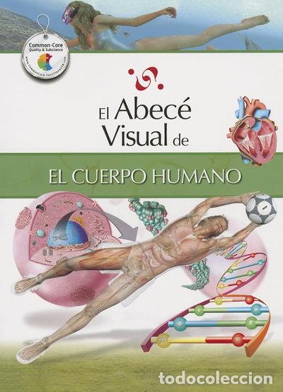 Libros: El abec&eacute; visual del cuerpo humano- 9788499070032