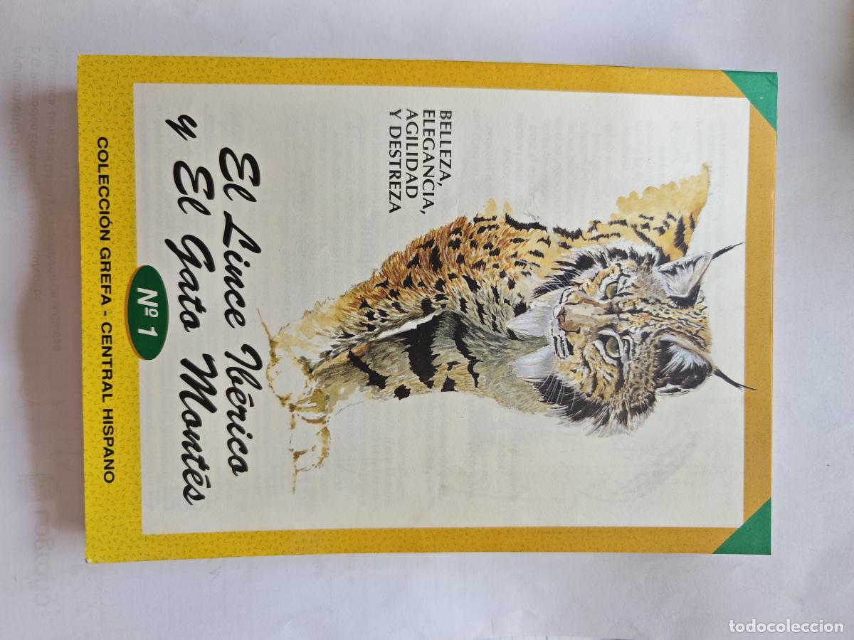 Libros: LINCE IBERICO Y GATO MONTES - COLECCION GREFA - - TDKC117