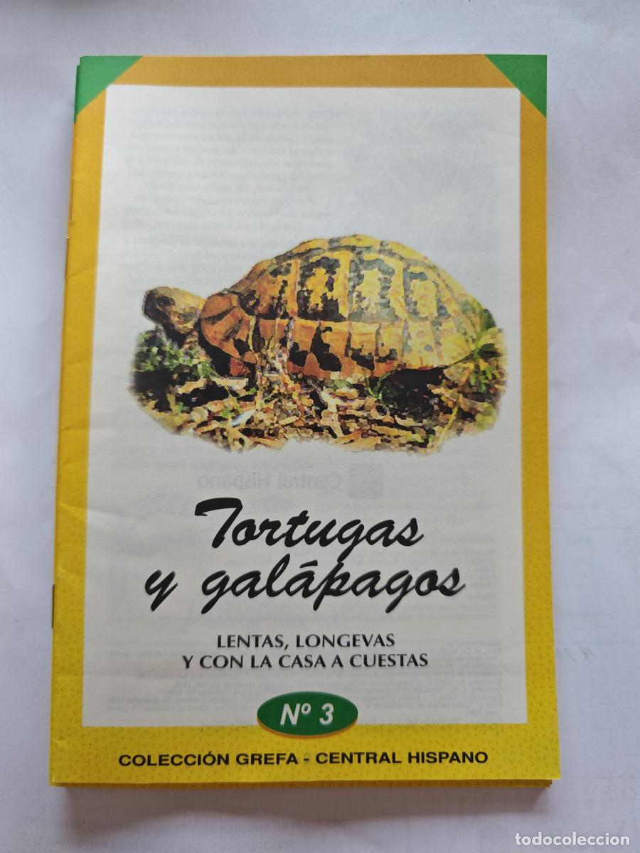 Libros: TORTUGAS Y GALAPAGOS - COLECCION GREFA - - TDKC117 - Foto 1