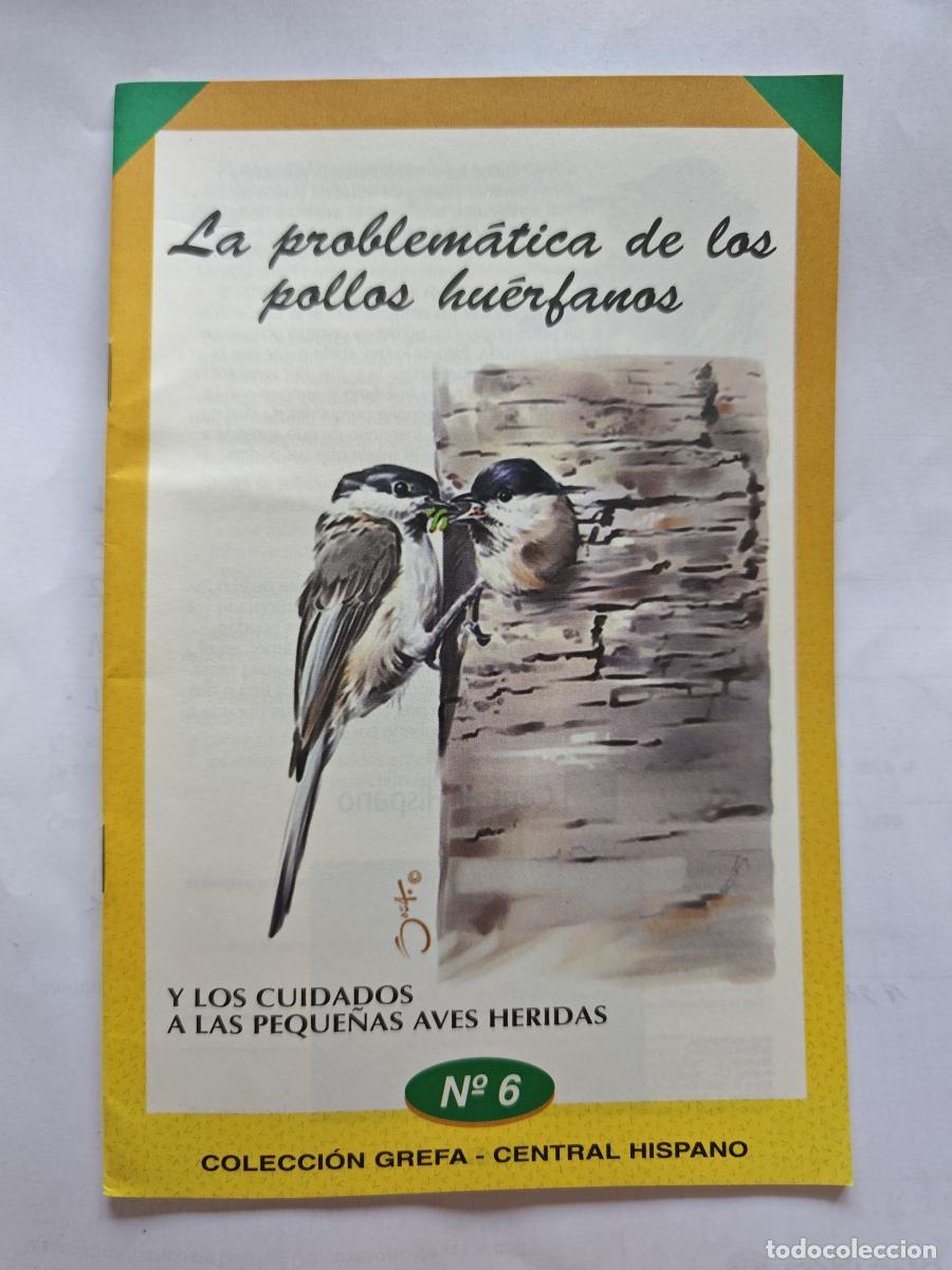 Libros: LA PROBLEMATICA DE LOS POLLOS HUERFANOS - COLECCION GREFA - - TDKC117 - Foto 1