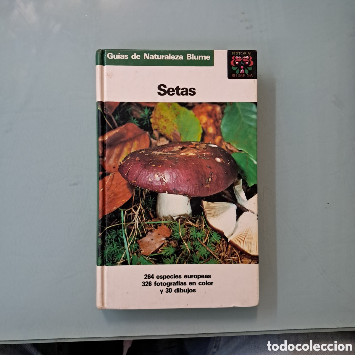 Libros: Gu&iacute;a de naturaleza Blume, Setas,