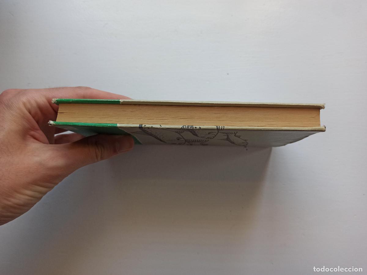 Libros: Mis amigas las truchas - Miguel Delibes - Foto 6