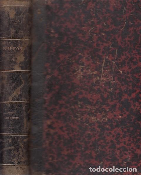 Libros: OEUVRES DE BUFFON. Avec la nomenclature linn&eacute;ennes et la classification de Cuvier. Tome quatri&egrave;... -