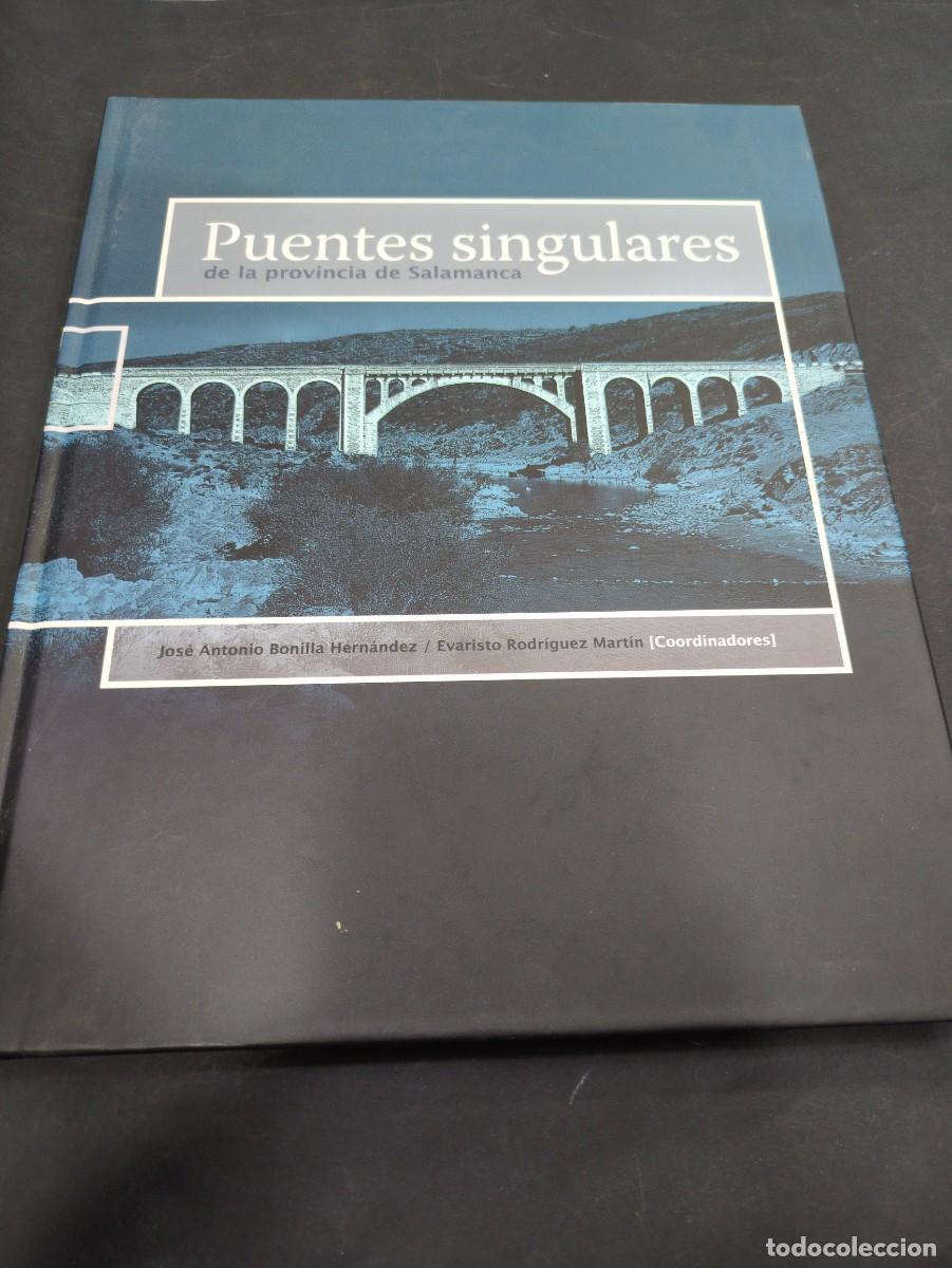 Libros: PUENTES SINGULARES DE LA PROVINCIA DE SALAMANCA. II. - AA.VV.