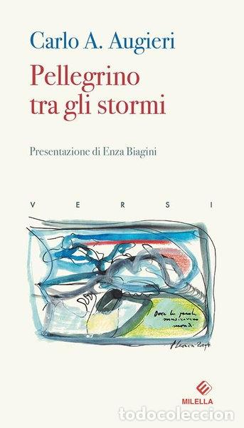 Libros: Pellegrino tra gli stormi- 9788833290652