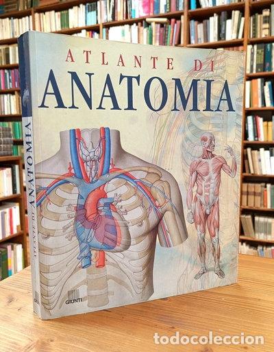 Libros: Atlante di anatomia- 9788809017931