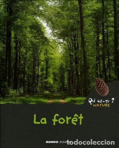 Libri di seconda mano: La for&ecirc;t- 9782740421048