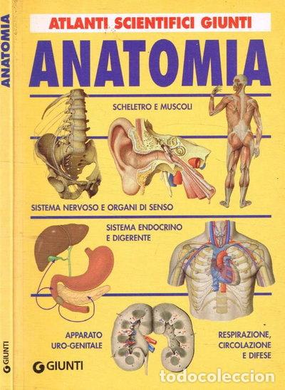 Libros: Anatomia- 9788809028722