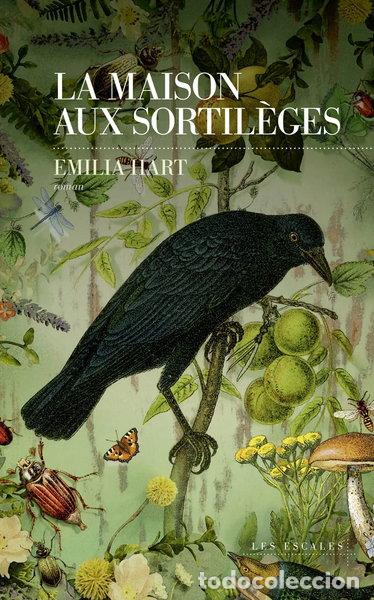 Libros: La maison aux sortil&egrave;ges- 9782365697002