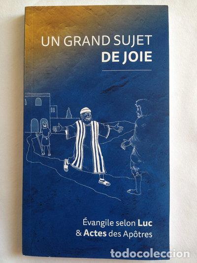 Livres: Un grand sujet de joie: &Eacute;vangile selon Luc et Actes des Ap&ocirc;tres- 9782879076294
