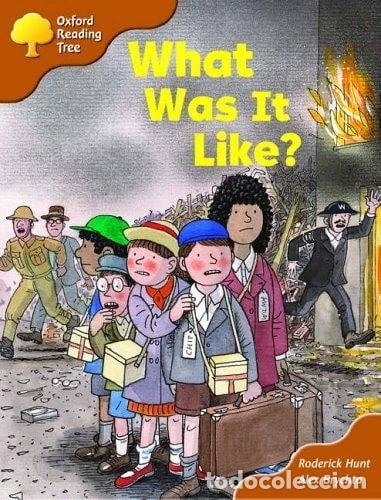 Libros: What Was It Like?- 9780198452713