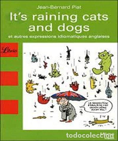 Libros: It's Raining Cats and Dogs: Et autres expressions idiomatiques anglaises- 9782290008430