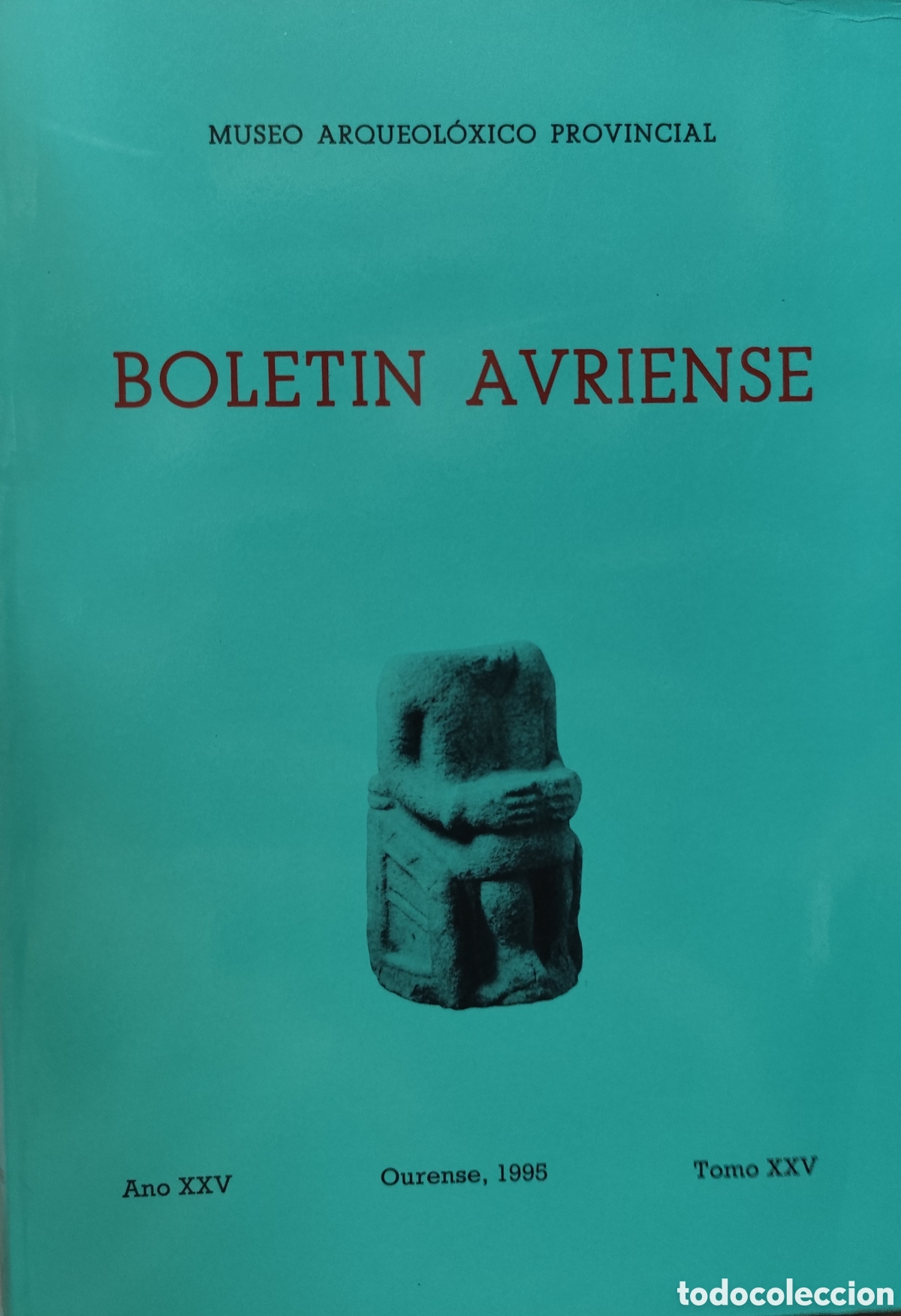 Libros: BOLETIN AVRIENSE. A&ntilde;o XXV. Tomo XXV. Museo Arqueol&oacute;xico Provincial. A&ntilde;o 1995. Galicia