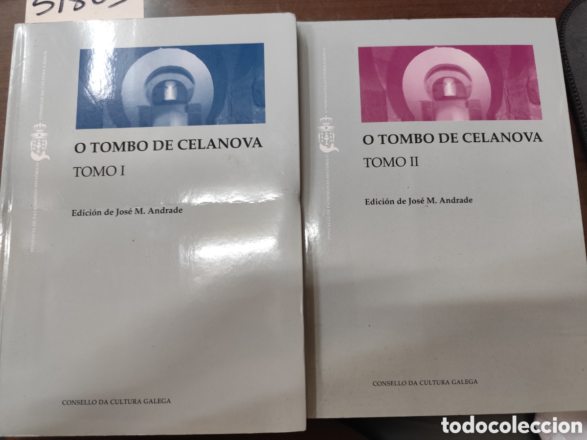 Libros: O TOMBO DE CELANOVA. Estudio introductorio,edici&oacute;n e &iacute;ndices S. IX-XII. Fontes Documentais para a hi