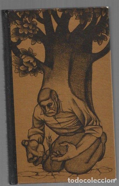 Libros: ATORMENTADA TIERRA - STEINBECK, JOHN - Foto 1