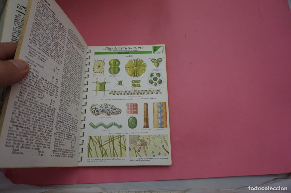 Libros: S3/ ATLAS DE MICROSCOPIA - J. BERNIS MATEU - Foto 4