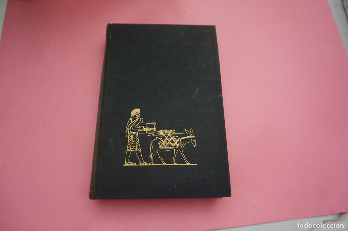 books: S3/ Y LA BIBLIA TENIA RAZON - WERNER KELLER / EDICIONES OMEGA