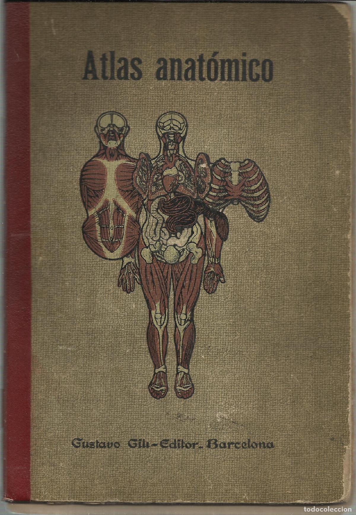 Libri di seconda mano: ATLAS ANAT&Oacute;MICO - CABALLERO, ARTURO