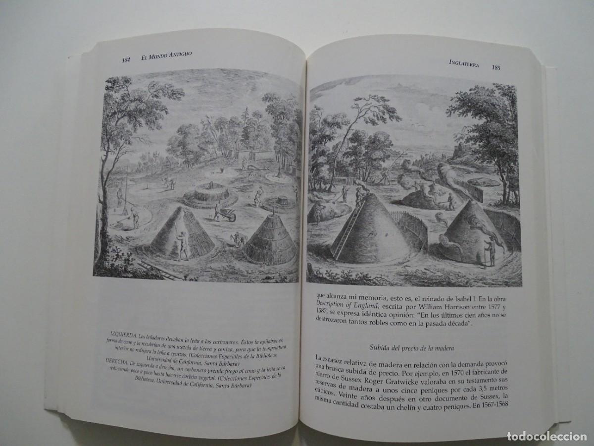 Libros: John Perlin: Historia de los bosques - Foto 3