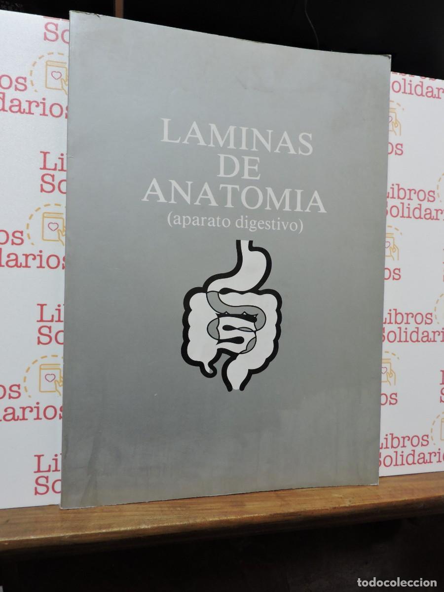 Libri di seconda mano: L&aacute;minas de anatom&iacute;a (aparato digestivo). Laboratorios Almirall. Barcelona, 1987