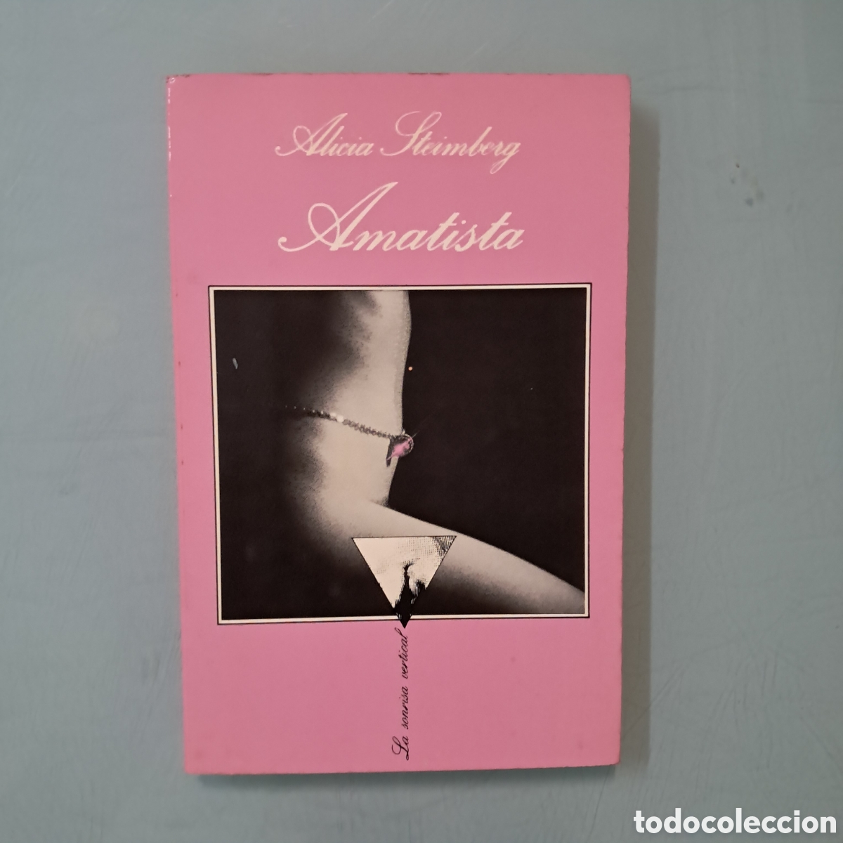 Libros: Alicia Steimberg, Amatista, Tusquets - Foto 1