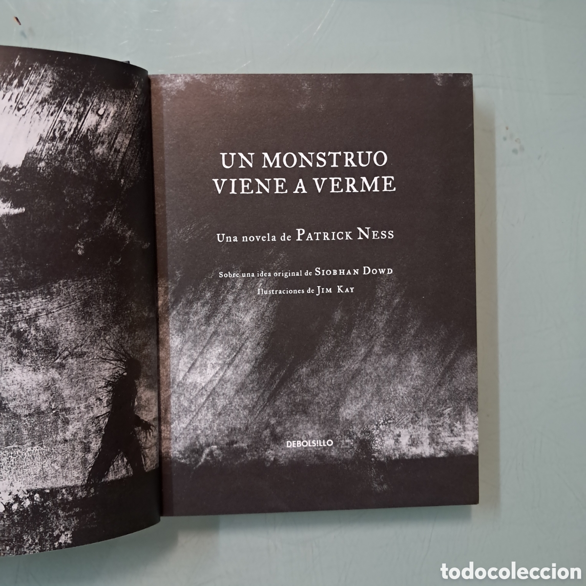 Libros: Patrick Ness, Un monstruo viene a verme, Debolsillo - Foto 1