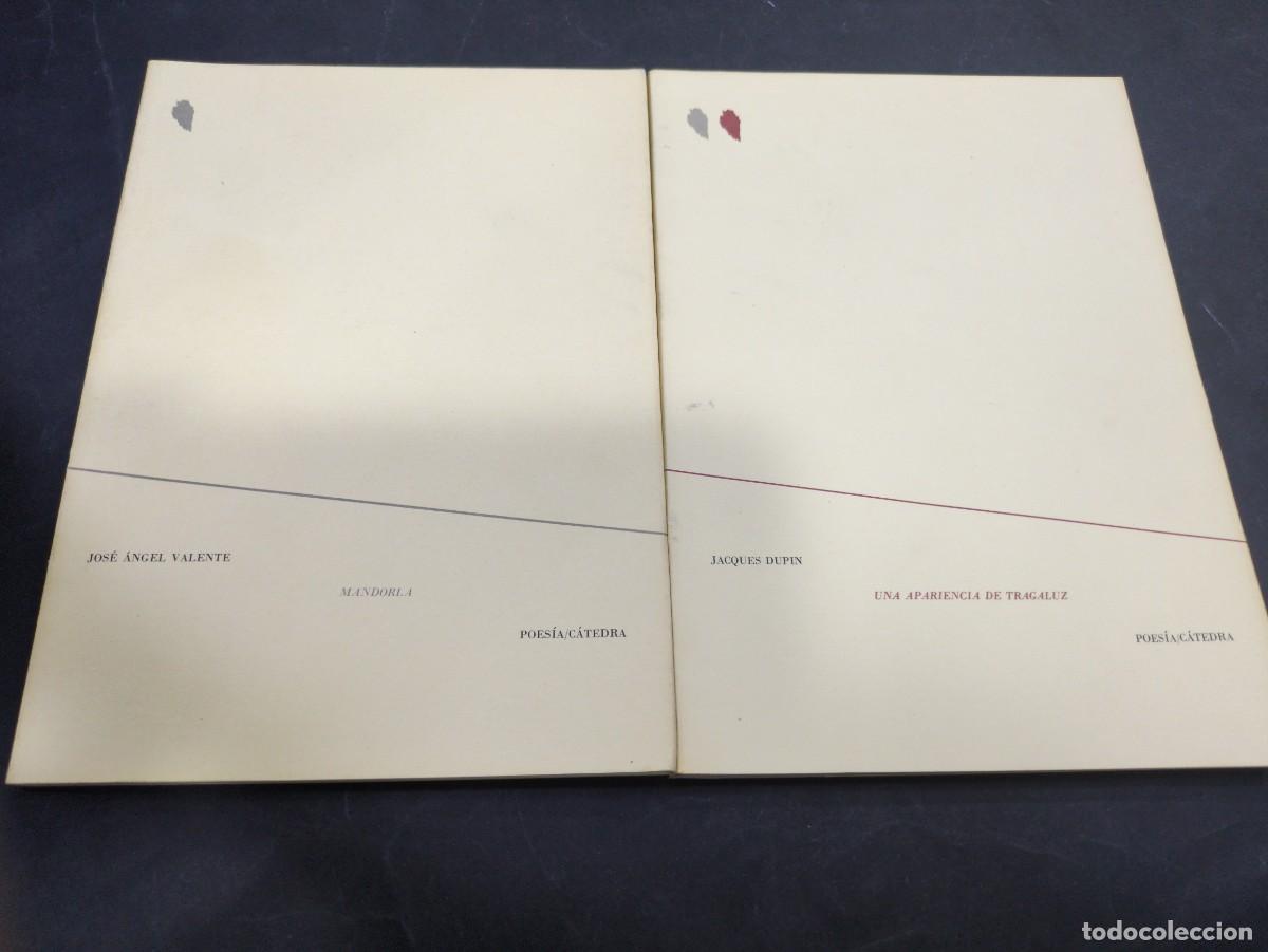Libros: MANDORLA - JOS&Eacute; &Aacute;NGEL VALENTE /Jacques Dupin, Una apariencia de tragaluz. / C&aacute;tedra 1982. 1&ordf; edici&oacute;n