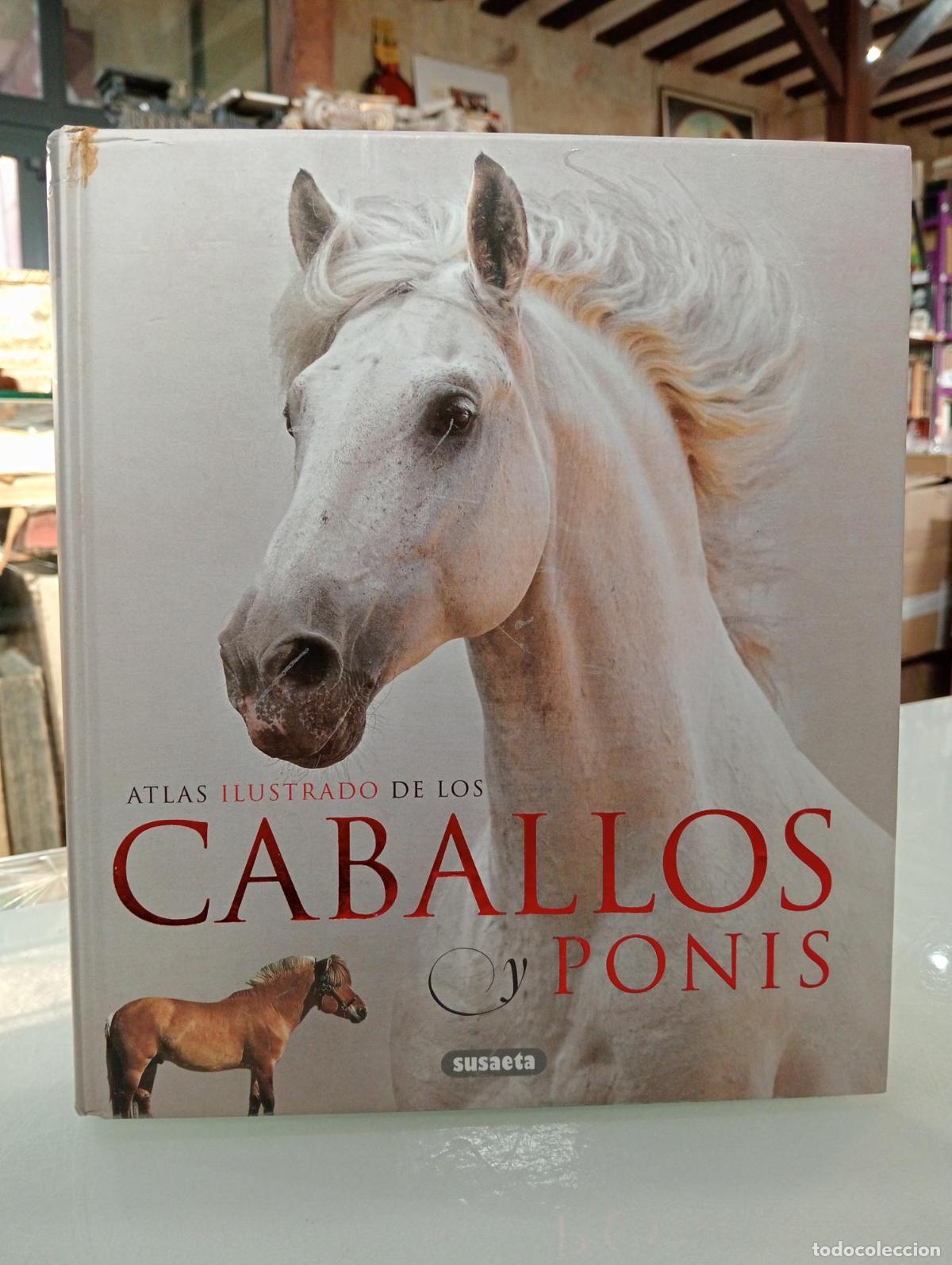 Libri di seconda mano: Caballos y ponis - Laban, Brian