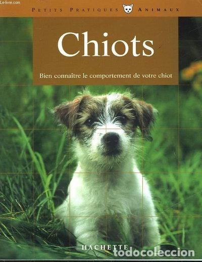 Livres: Chiots- 9782016208915