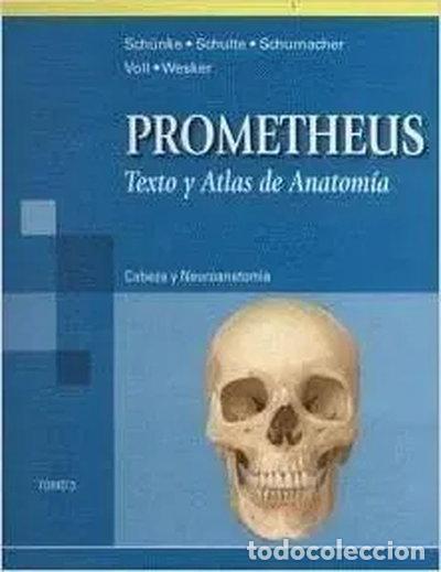 Libros: Prometheus. Texto y atlas de anatom&iacute;a. Tomo 3: Cabeza y Neuroanatom&iacute;a- 9788479039790