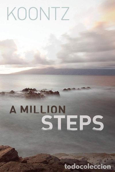 B&uuml;cher: A Million Steps- 9780615852928