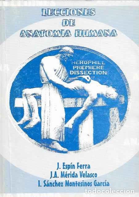 Libros: Lecciones de Anatomia Humana - J. Esp&iacute;n Ferra, J.A. M&eacute;rida VElasco y J. S&aacute;nchez Montesinos Garc&iacute;a