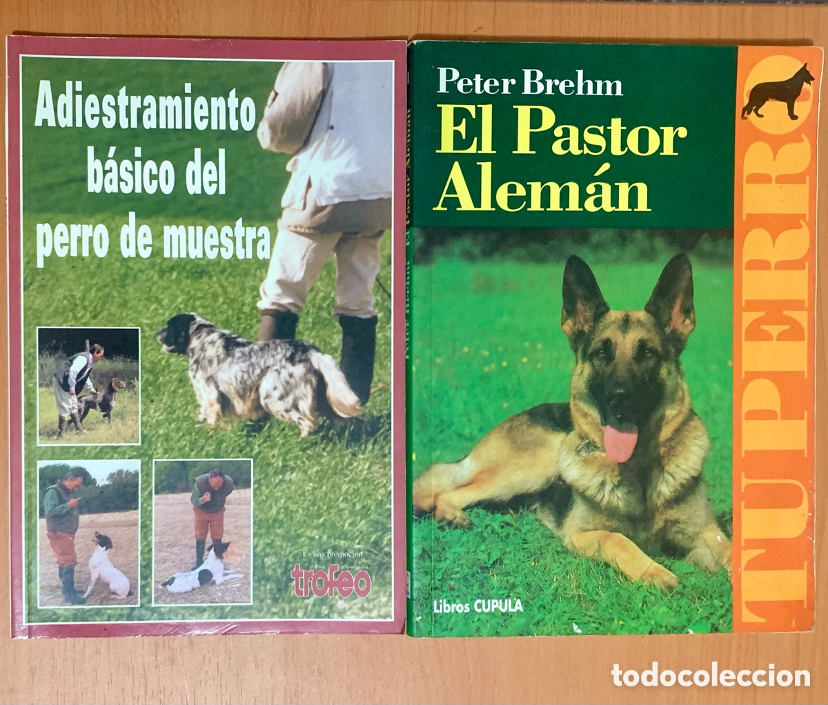 Libros: LOTE 2 LIBROS PASTOR ALEMAN