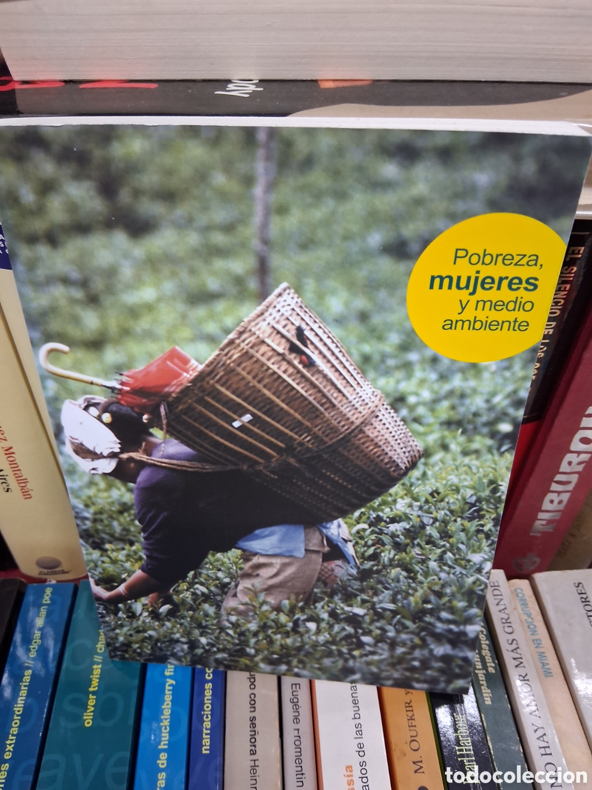 Libros: Pobreza, mujeres y medio ambiente